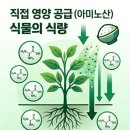 부농원 | (농사대박)🌿 아미노산 vs 해조류 추출물 – 같은 영양제인데 왜 결과가 다를까?
