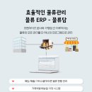 엠에스솔루션