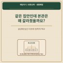 진성이씨족보 | 같은 집안인데 본관은 왜 갈라졌을까? 분관에 담긴 이주와 정착의 역사