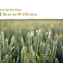 법인백성 이미지