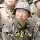 동일이브이 | 포켓몬 몬스터볼 소다맛 음료 판매처｜파는 곳, 랜덤깡 후기