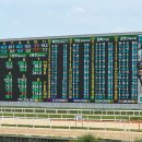 경마루 스테이 이미지