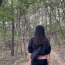 서봉산산림욕장 이미지