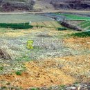 공세리농장 이미지