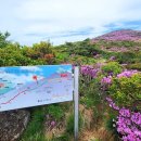 한라산 선작지왓 이미지