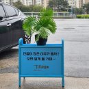 티파니미용실 - 안동시 | 볼륨매직 잘하는 춘천미용실 티파니샵 춘천본점을 소개드려요