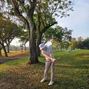 군포새마을금고 골프연습장 | [공지] 태국 방콕 피닉스CC 라운딩 후기 해외골프장 파타야 골프여행! 산본골프연습장