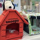 (주)벡스코 이미지