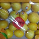 윤이 농장 이미지