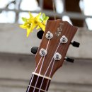 우쿨렐레 이미지