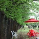 수목농장 이미지