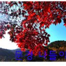 문경온천 1공원 이미지