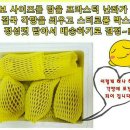 점보사이즈 골드키위 입고 이미지