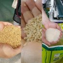 송탄농협미곡종합처리장 이미지