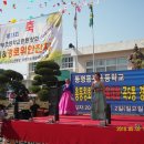 동명동부초등학교 이미지