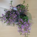 신영란 농장 이미지