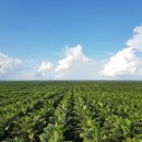 김우정농장 이미지