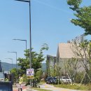 황금시장 내 대건사 앞 (옥외1) | W2. 웨딩베뉴 정하기(대전) - 밝은홀 선호 : 빌라드알티오라/S가든/라도무스/라포르테/라비에벨 (ICC견적)