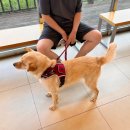 이리온 동물메디컬센터 이미지