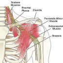 광양한의원 이미지
