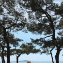 옹암해변주차장 이미지