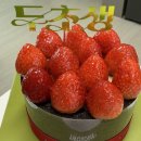 투썸플레이스양재하나로마트점 | 투썸플레이스 신상 케이크 “두초생” 두바이 초코 생크림 내돈내산 솔직후기
