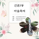 노루목어린이공원 이미지