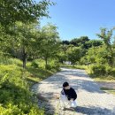 가락뜰근린공원 이미지