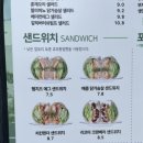 샐러리아화성