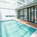 사슴은 꽃이었다 이미지