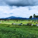 대산문화체육공원(축구장) 네이버블로그