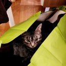 산들맘2 이미지