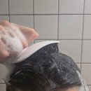 채울 | 지루성두피 원인 저속노화 포셰리 채울샴푸 후기