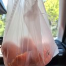 교래팔도농수산