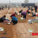 영오2농장 이미지