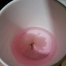 리틀올리브어린이집 이미지