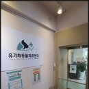유기화동물의료센터 이미지