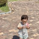 무안황토갯벌랜드(제1주차장) 이미지