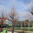 서산고등학교 이미지