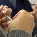 비글구조네트워크 동물메디컬센터 이미지