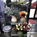 강릉포레스트 이미지