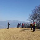 구례향기 이미지