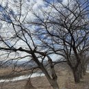 강그리기펜션민박 | 아이와 함께한 공주가족여행 자유민박 방문한 후기