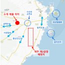 제주신공항부동산공인중개사사무소 | 제주도 성산읍 수산리: 도로 접근성 좋은, 예쁜 펜션 (펜션3동+주택1동), 제주 제2공항 부동산 리뷰