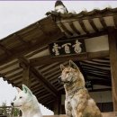 경주카센타 이미지