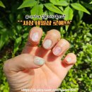 2026 봄네일은 여기서 모라 로예브 이달의 아트 후기 사상속눈썹펌 사상네일 사상뷰티샵