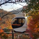 소문난 멸치국수 이미지