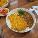 롤인 | 잠실 장미상가 카레 맛집｜롤인잠실 돈카츠 카레 솔직 후기