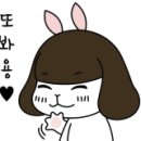 엔비헤어드레싱