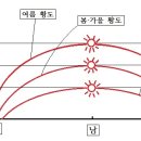 동서양 과학사 비교 고찰(6) 이미지